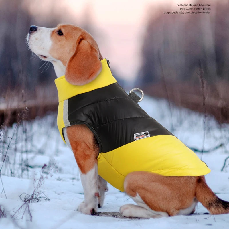 Warm Jacket For Small, Medium and Large Dogs Like Pug - Chihuahua - French Bulldog