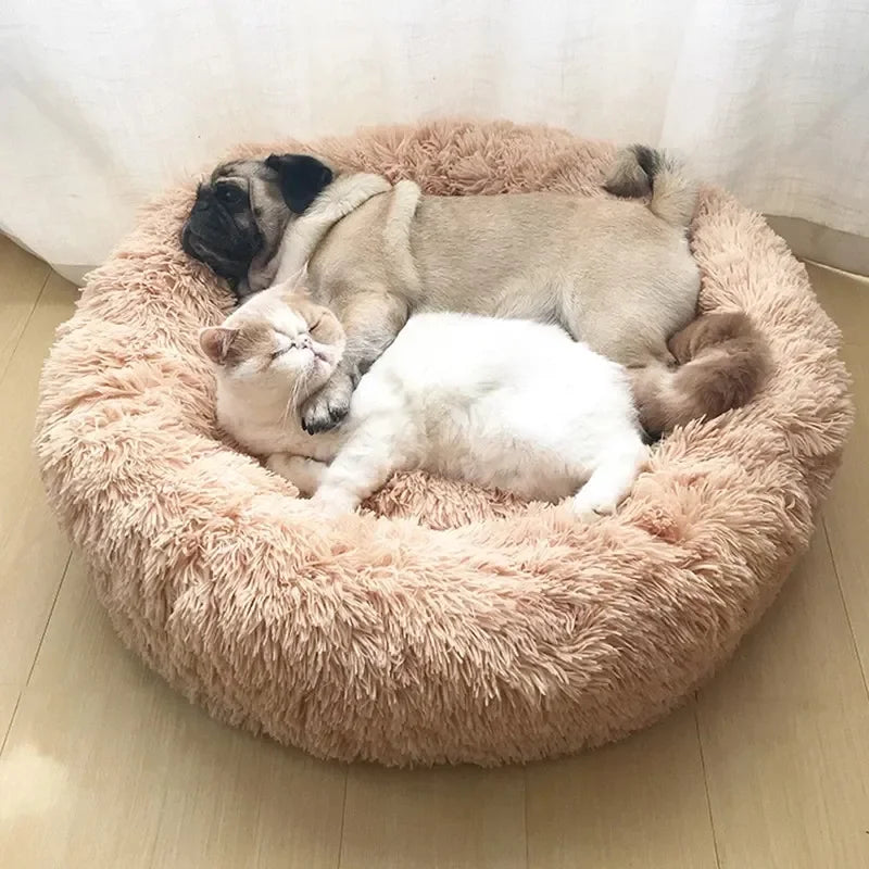 Pet Bed Super Soft