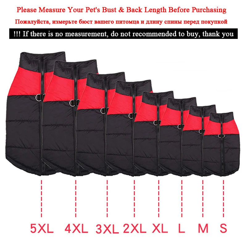 Warm Jacket For Small, Medium and Large Dogs Like Pug - Chihuahua - French Bulldog